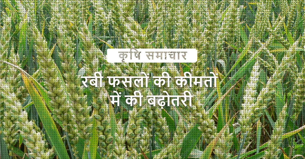 /kvplus/articles/2.MSP-Up-Income-Up_Hindi.jpg