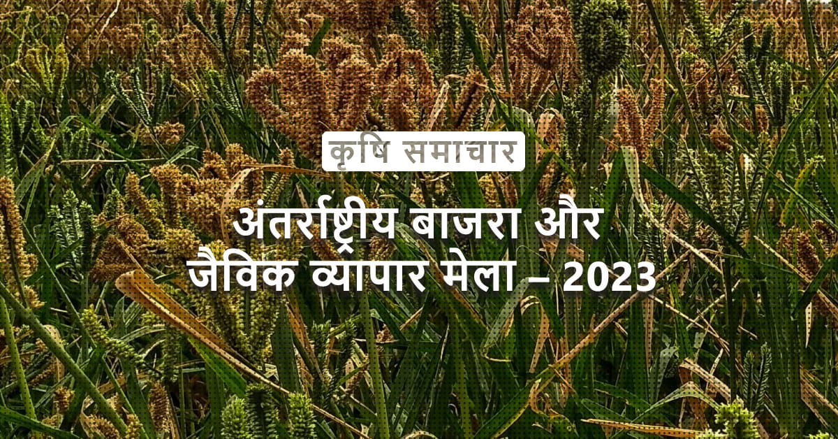 /kvplus/articles/Millets_Hindi.jpg