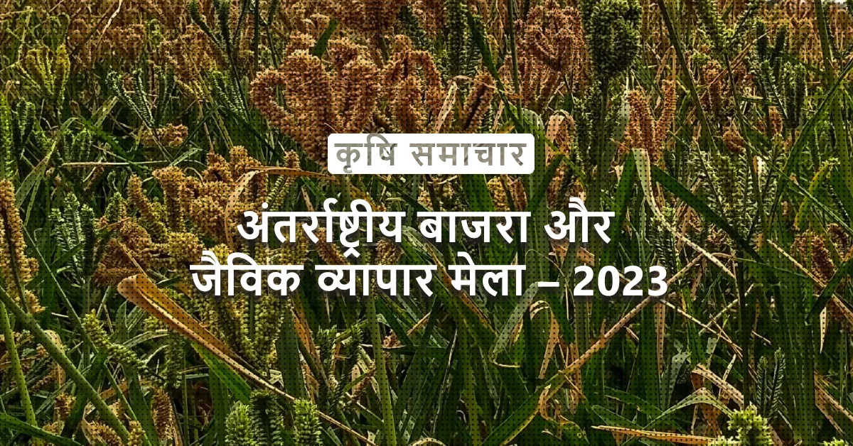 /kvplus/articles/Millets_Hindi.jpg