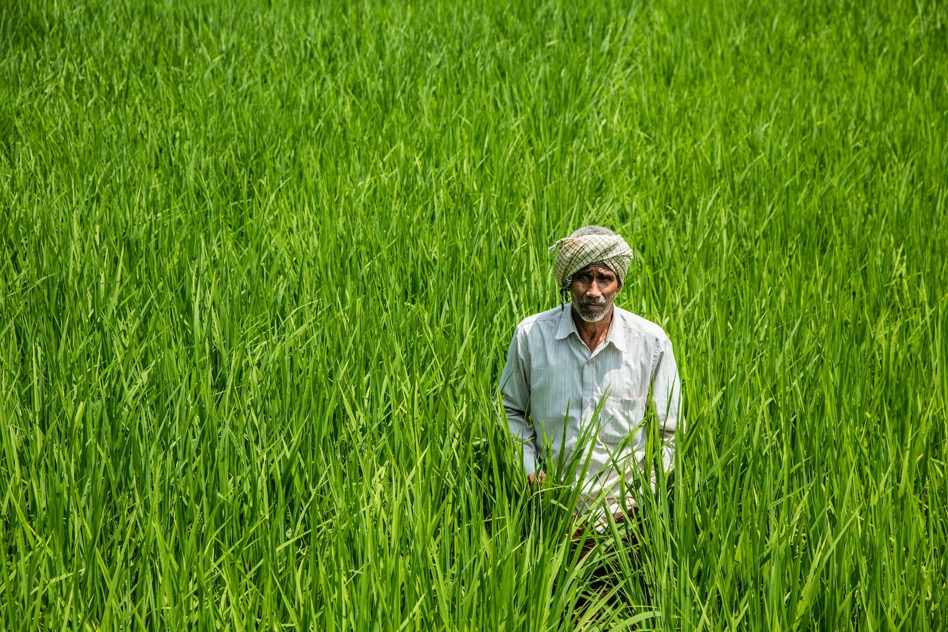 /kvplus/articles/rajat-sarki-AOhcR6l-KQM-unsplash.jpg