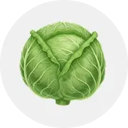 Cabbage Image