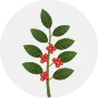 Coffee Image