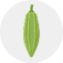 Cucurbits Image