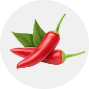 Indam-54 Chilli Image