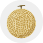 Muskmelon Image