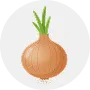 Onion Image