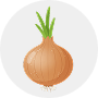 Onion Image