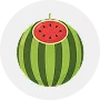 Watermelon Image