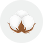 Cotton Image