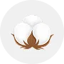 Cotton Image
