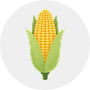 Maize Image