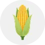 Maize Image