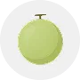 Melons Image
