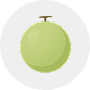 Melons Image