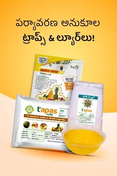 Promotional Banners