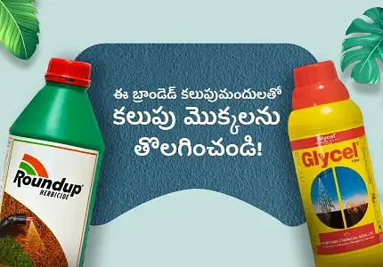 Series Banner 2