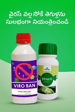 Promotional Banners