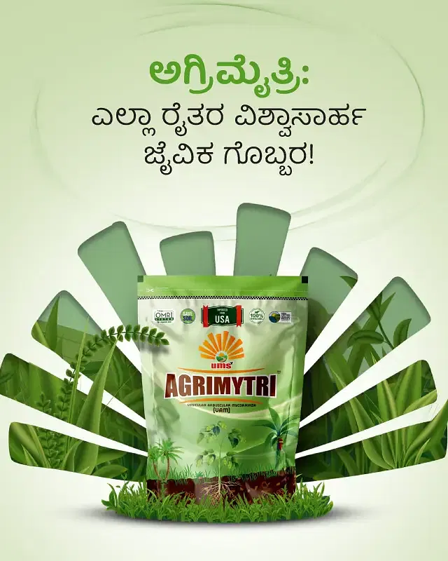Promotional Banners