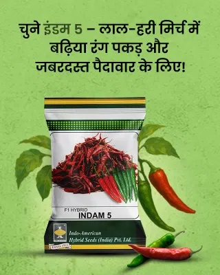 Promotional Banners