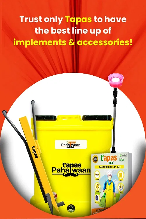 Promotional Banners