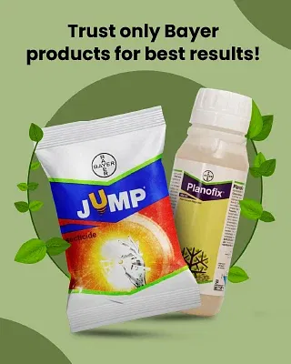 Promotional Banners