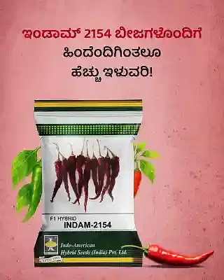 Promotional Banners