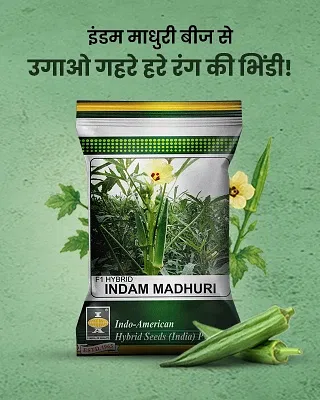 Promotional Banners