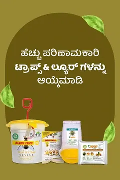 Promotional Banners