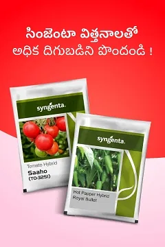 Promotional Banners