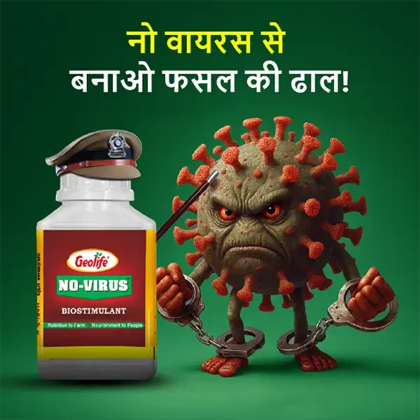 Exclusive Image