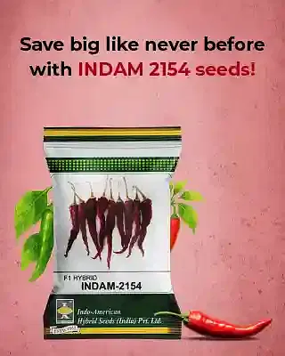 Promotional Banners