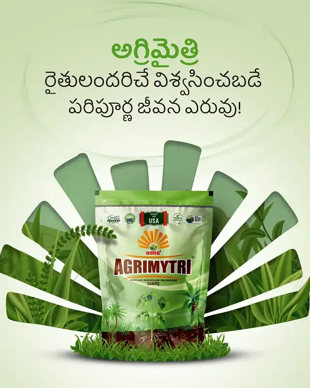 Promotional Banners