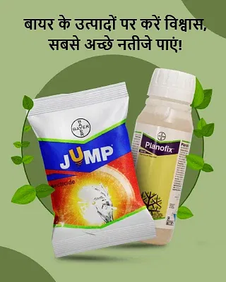 Promotional Banners