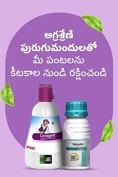 Promotional Banners