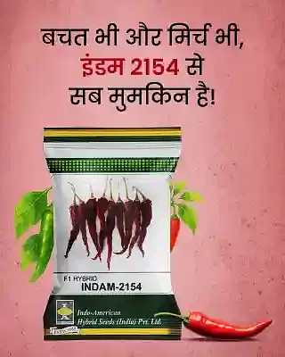 Promotional Banners