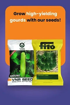 Promotional Banners