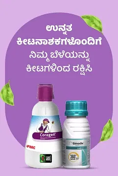 Promotional Banners