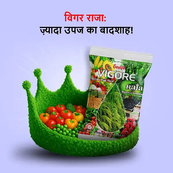 Exclusive Image