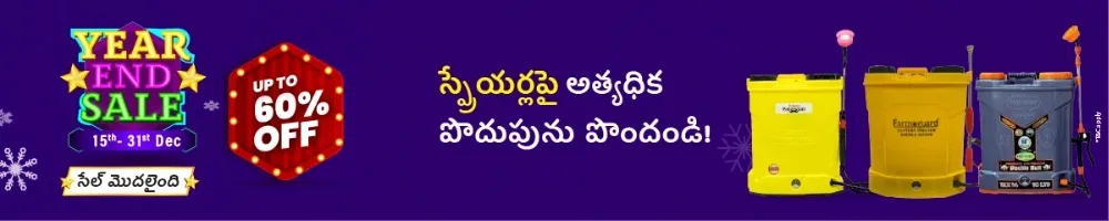 home Banners 0 Image 1