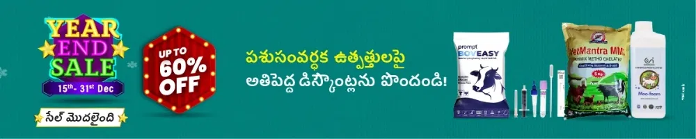 home Banners 0 Image 1