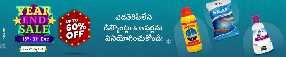 home Banners 0 Image 1