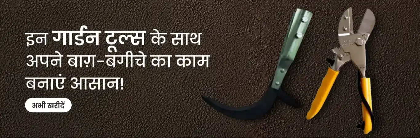 home Banners 4 Image 5