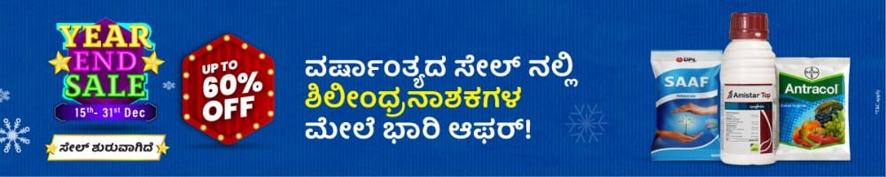 home Banners 0 Image 1