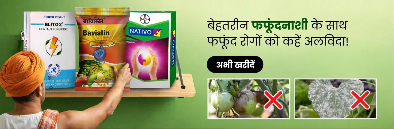 home Banners 3 Image 4