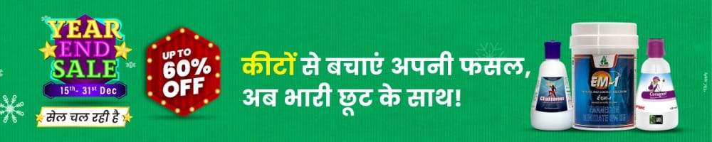 home Banners 0 Image 1