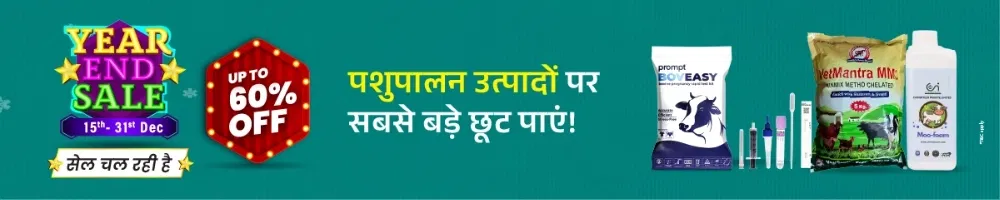 home Banners 0 Image 1