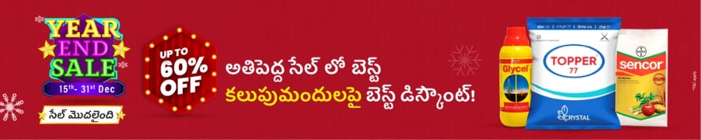 home Banners 0 Image 1