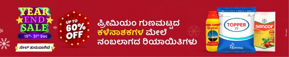 home Banners 0 Image 1