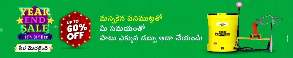 home Banners 0 Image 1