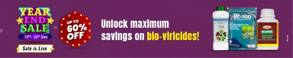 home Banners 0 Image 1